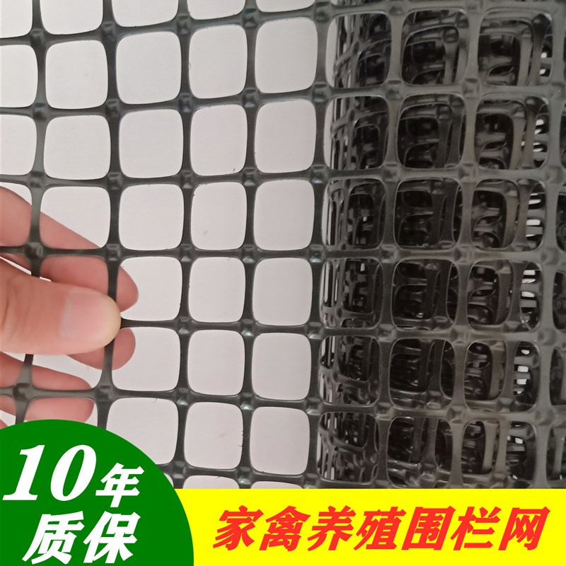 土工格栅塑料小孔网格防护网养鸡围栏拦鸡养殖栅栏隔离护栏网家用