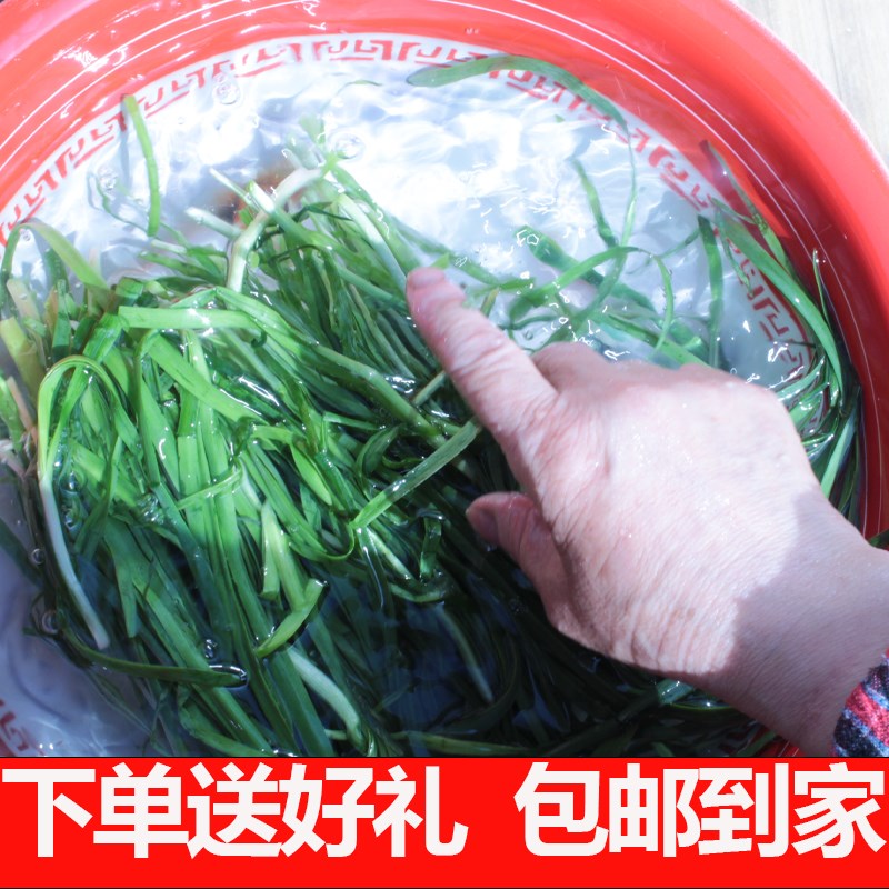 吉祥如意搪瓷盆老式加厚特厚婚庆结婚盆脸盆洗菜盆和面盆饭店汤盆