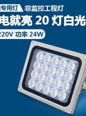 扫描专用补光灯 非监控补光灯AC220V20灯通电就亮24W常亮灯