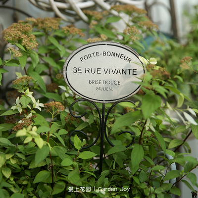 爱上花园丨园艺杂货 铁艺铁皮花园装饰摆件 椭圆花牌VIVANTE花插