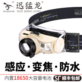 感应头灯钓鱼专用强光可充电超亮头戴式调焦夜钓超长续航超轻小号