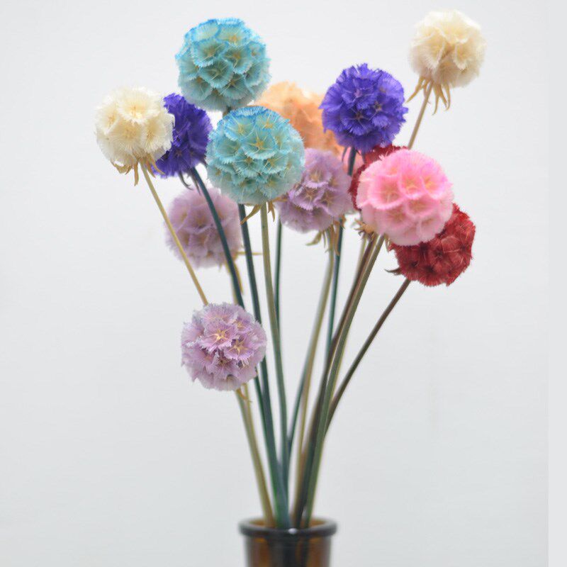 风车果干花包混搭花束永生花松虫果小风清新可爱小清新装饰小花瓶