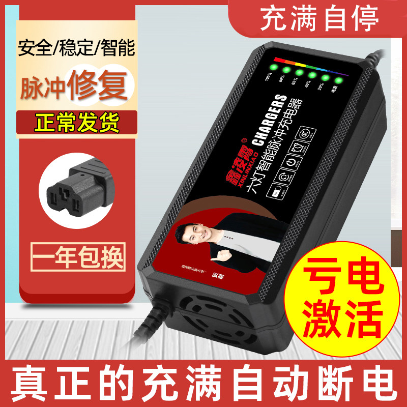 适用电动车电瓶充电器48v12ah60v20/30ah72v星月神三轮车通用96V