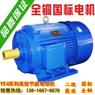 YE4三相异步电动机11/15/18.5/22/30/37/55千瓦45KW国标380V电机