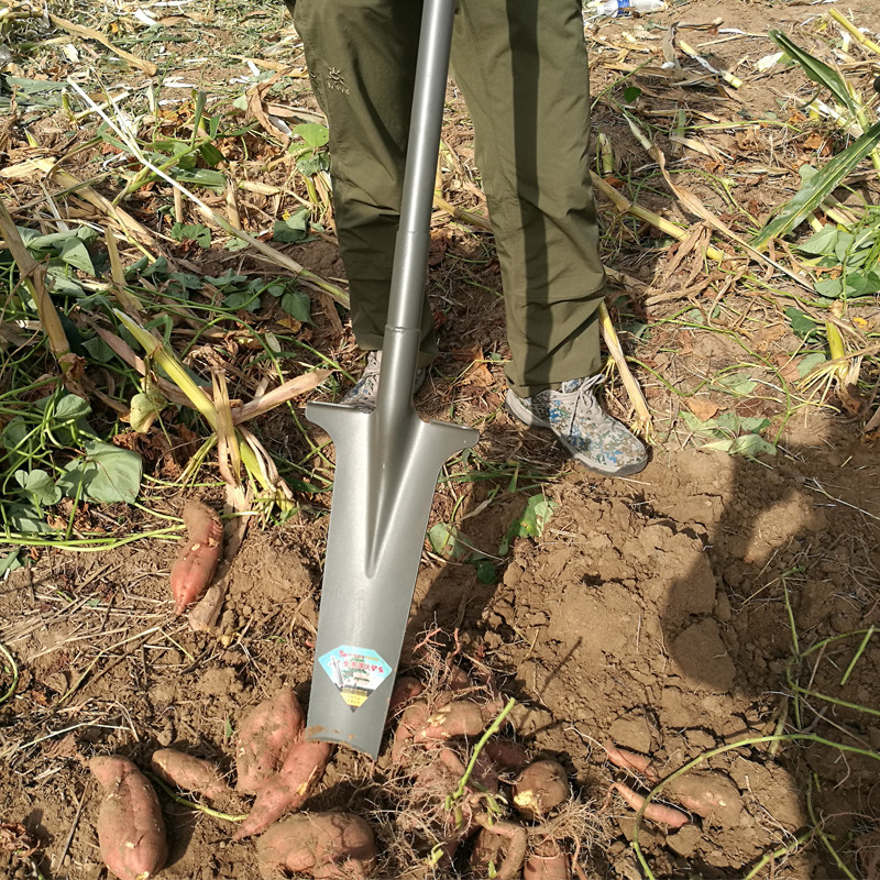 起树铲挖树锹锰钢加厚起苗器植树挖洞铲子挖树根铁锹园林工具