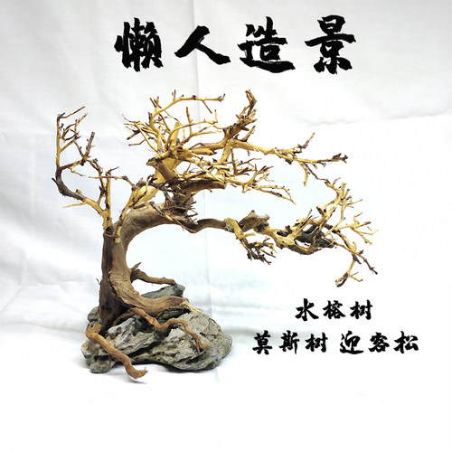 巴西树莫斯树杜鹃根泰国枝水族箱造景装饰水草树沉木鱼缸迎客松
