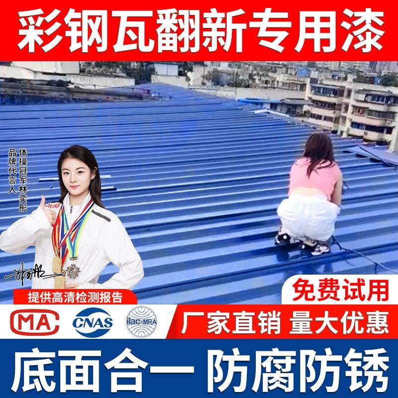 彩钢瓦翻新专用漆防锈油漆防水免除锈防腐彩钢板铁皮瓦水性金属漆,基础建材,金属漆,淘宝优惠券,粉丝福利购,淘宝优惠卷