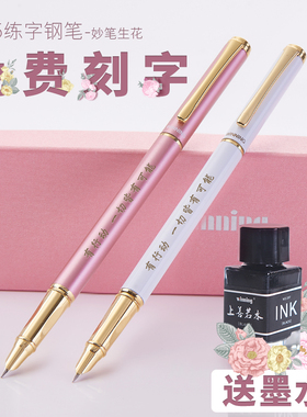 Winning/文正金属钢笔学生专用送墨水墨囊 初学者正姿练字礼盒装