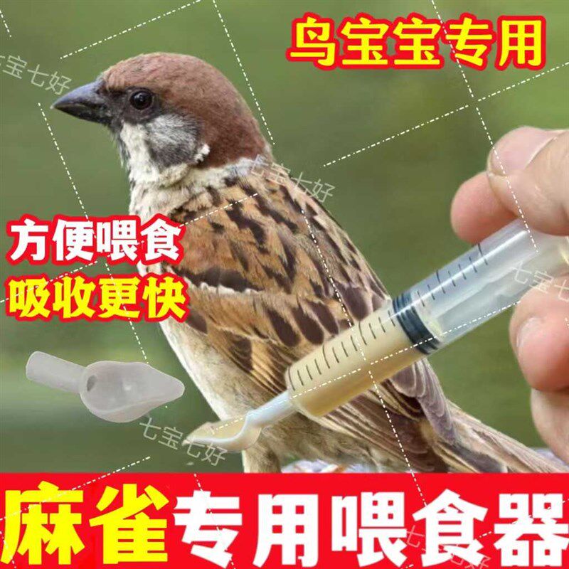 麻雀喂食器】喂鸟工具勺子针管哺乳勺幼鸟幼鸟喂食软管小勺子喂食