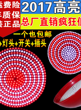 led生鲜灯猪肉灯红色卤肉卤菜熟食店专用灯超市蔬菜水果海鲜吊灯