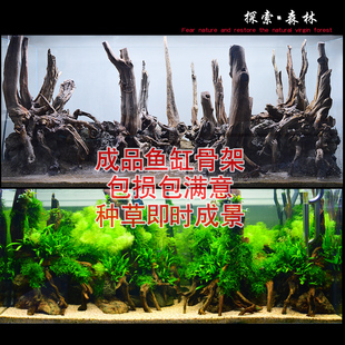 吉景佳鱼缸造景水草缸直沉木套餐创意雨林缸树干森林造景天然沉木