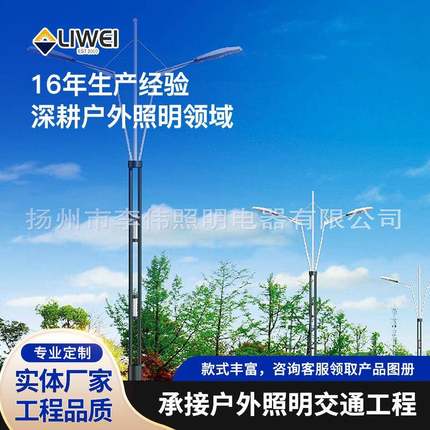 路灯厂家led防爆路灯道路照明金属灯杆大于7KWT型马路路灯