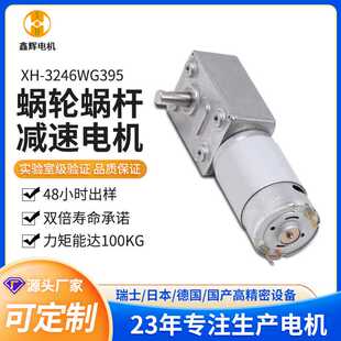 3246减速电机 JGY395微型直流马达自锁大扭矩涡轮蜗杆减速电机