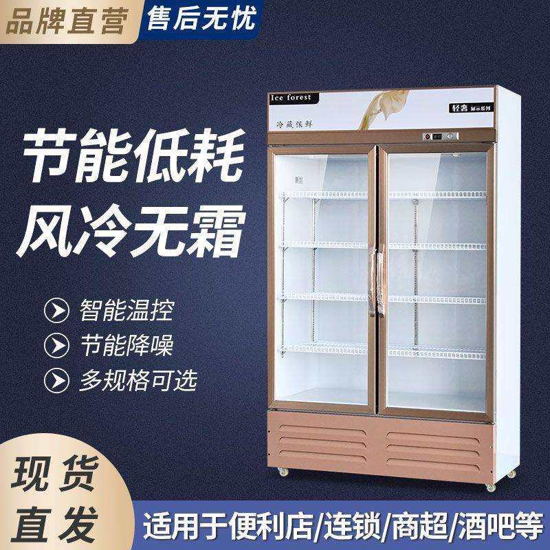 商用直冷风冷保鲜柜饮料柜冰箱啤酒柜储存食品立式啤酒柜