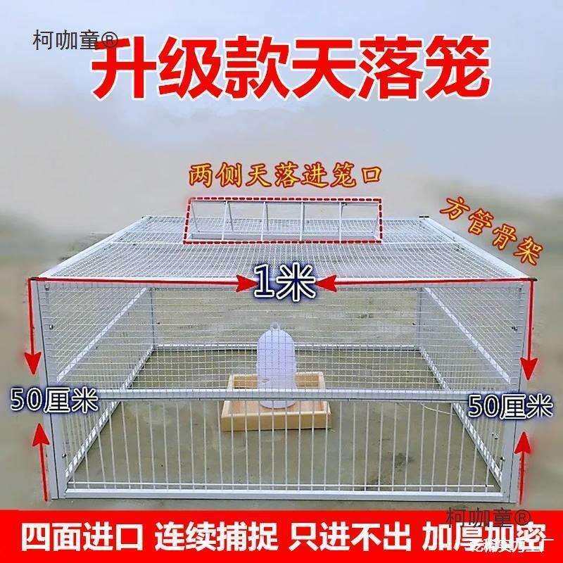 笼门门用具鸽子鸽子捕跳鸽神器自动自动抓撞全自动鸽子笼麦太保