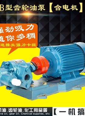 KCB18.3/33.3/55/83.3/2CY卧式不锈钢齿轮油泵防爆齿轮泵抽油泵