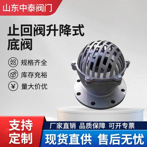 H42X-10铸铁升降式法兰底阀水泵逆止回阀门