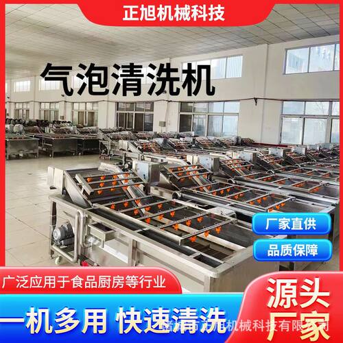 正旭厂家杨梅果蔬气泡清洗机 琵琶黄桃清洗机 蓝莓草莓洗果机