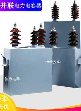 上海/吉林威斯康BAM/BFM6.3/11/123-100-1W 高压并联电力电容器