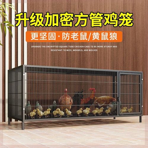 鸡笼子家用加粗大号养殖笼折叠鸭笼鹅笼狗笼自动滚蛋鸡笼厂家直发