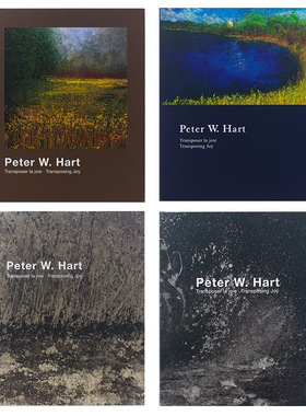 熙思装饰书艺术油画样板间饰品摆件书样板房茶几书房书柜真书装饰