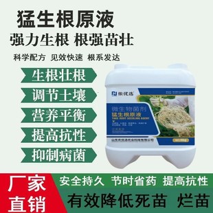 猛生根原液强力生根壮苗剂生根液蔬菜果树花卉大桶冲施微生物菌肥