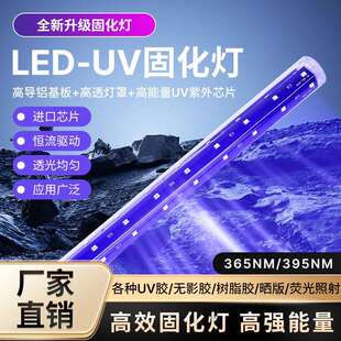 LED诱虫灯管E27诱虫灯管3.2V诱虫紫光灯太阳能杀虫灯配件诱蚊uv灯