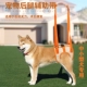 宠物后腿辅助带高龄老年犬残疾犬狗狗术后康复锻炼上楼伸缩协助带