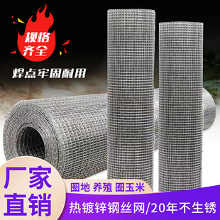 镀锌铁丝网防锈阳台网格家用电焊网养殖网围栏加粗加硬抹灰钢丝网