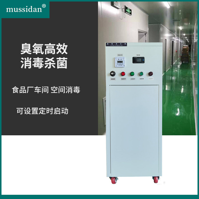 移动式臭氧发生器20G50G工业食品车间冷仓库养殖场消毒杀菌消毒机