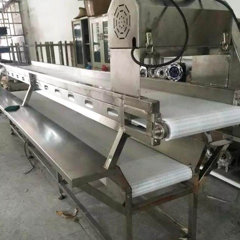 厂家直销按需制作自动化滚轮滚筒式双层链板输送机隔板流水线