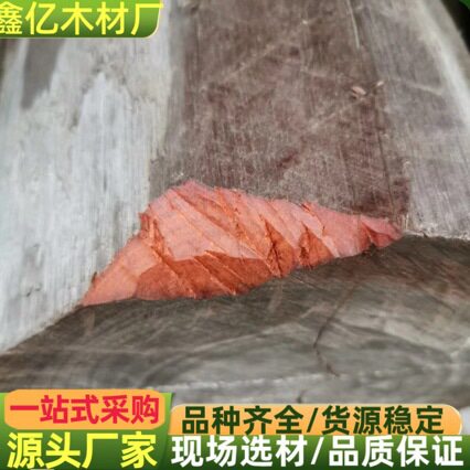 尼泊尔印度紫檀 原木木材 美洲花梨工艺品木板材 尼泊尔小叶紫檀