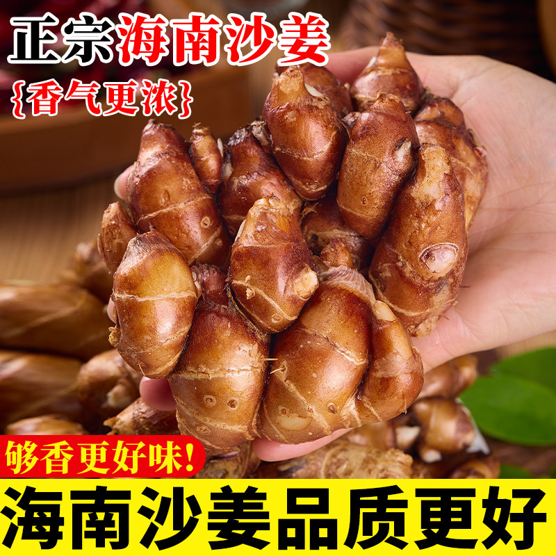 海南沙姜商用特级现挖沙姜
