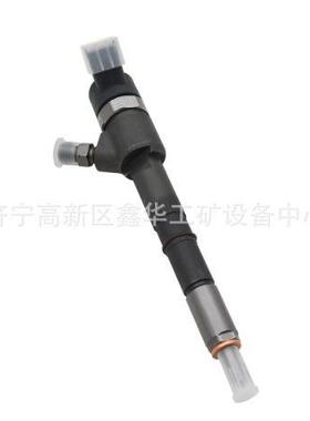 专业销售发动机配件RE527598喷油器油泵 RE48786