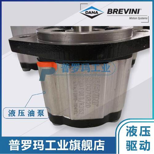 BREVINI油泵OT200P08D/P28P2 G28 B25B2 B23 B25B4 B5 B24B6 B7
