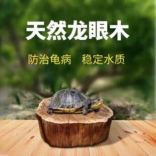 乌龟晒背台爬台高水位天然龙眼木防烂甲腐皮造景摆件沉木调节水质
