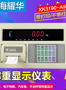 上海耀华XK3190-A9+P仪表称重显示器A9打印仪表电子秤地磅仪表