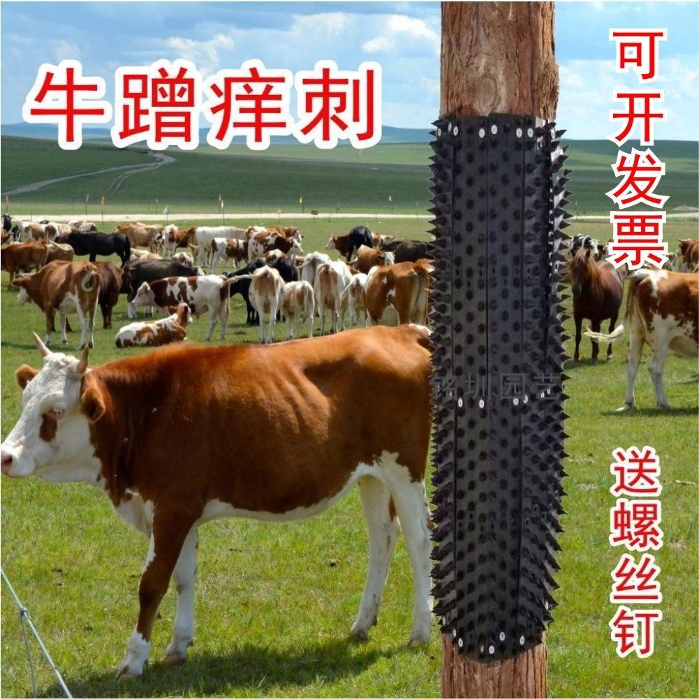 特硬牛体刷蹭痒牛蹭痒神器牛挠痒刺钉养殖场马牛羊挠痒工具防踢刺