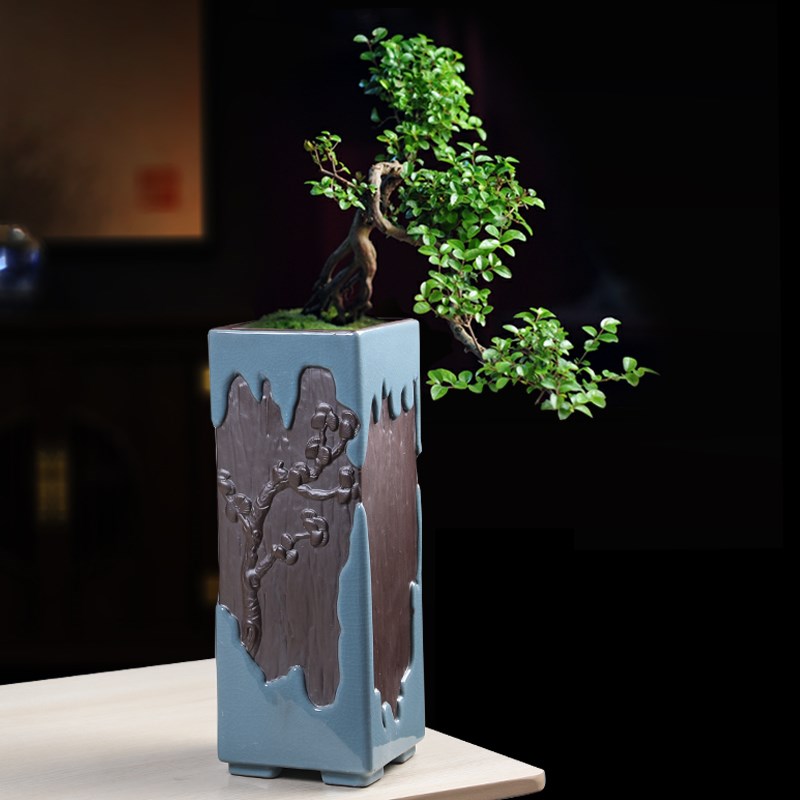 哥窑花观高档陶款高瓷紫砂特大号古典室内兰花老桩飘枝造景盆盆