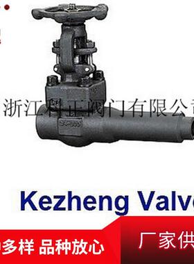 厂家供应耐高温高压仪表阀导淋闸阀放空导淋阀DVW113