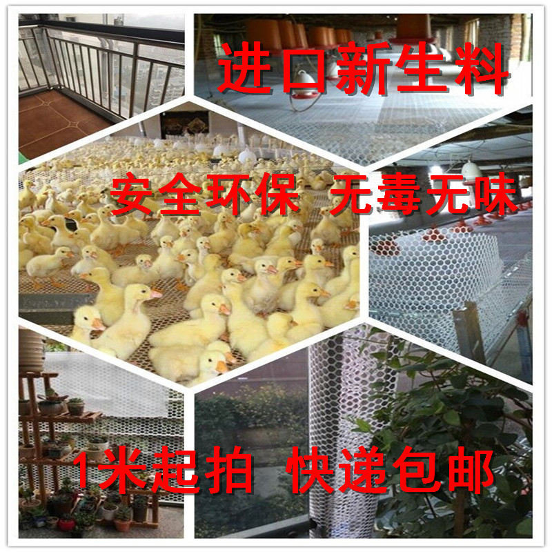 加厚塑料平网网殖网格鱼塘隔离养养鸡围栏网防阳网猫台防护网家用