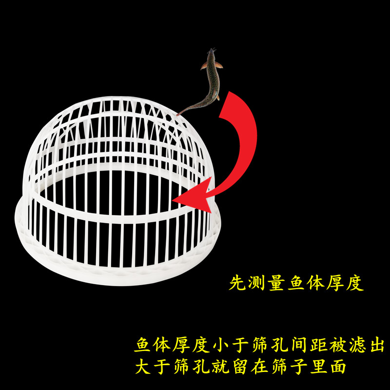 鱼形筛子虾滤网超细密鱼苗龙过鲤鱼鲫鱼鳝鱼泥鳅大小分级塑料圆筛