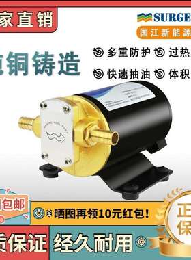 FP-12齿轮柴油泵纯铜24v电动微小型自吸煤油泵车载正反转抽加油机