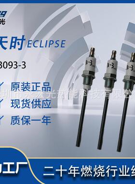 13093-3点火针天时ECLIPSE原装火花塞燃烧器配件感应探针供应商