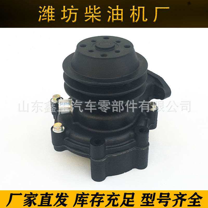 重汽豪沃发动机水泵总成0051豪瀚金王子VG1062060350水泵