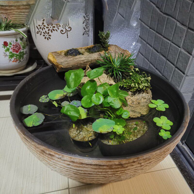 特大号盆莲花石加厚树脂水培塑料花缸碗莲铜钱草庭院仿睡头盆景盆