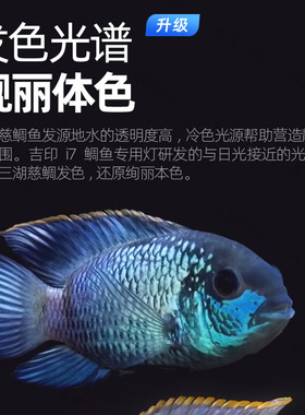 海水F鲷T灯 三湖慈O鱼灯 发色灯蓝色增艳专水防业灯led灯