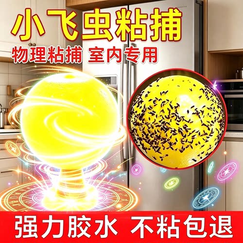 室内果蝇小飞虫诱捕粘蝇球除蚊虫