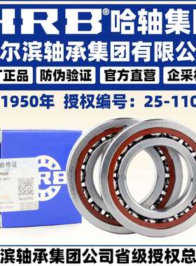 HRB哈尔滨轴承7219722072217222ACTACTAP5DBDTDF配对