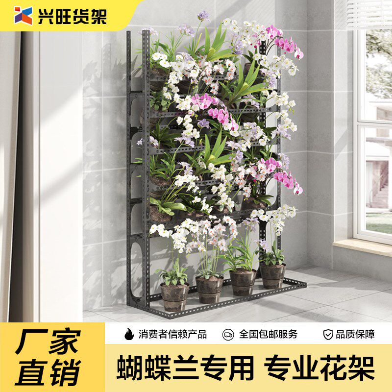 家用花盆室内多层置蝴架阳台花架架子物蝶兰架兰花摆放架花几